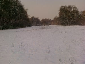 Running in the winter wonderland